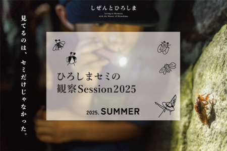 見てるのは、セミだけじゃなかった。｜ひろしまセミの観察Session2025